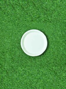 10 Inch Round Plate (50 Pack)