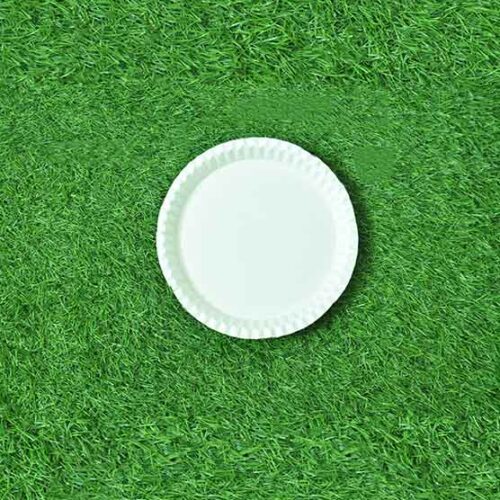 10 Inch Round Plate (25 Pack)