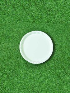 12 Inch Round Plate (50 Pack)