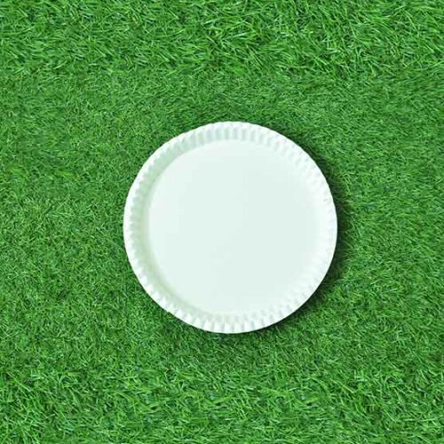 12 Inch Round Plate (25 Pack)