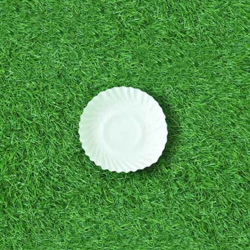 6 Inch Round Plate (25 Pack)