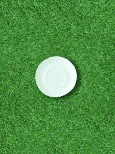 8 Inch Round Plate (50 Pack)