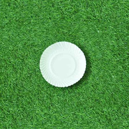 8 Inch Round Plate (25 Pack)