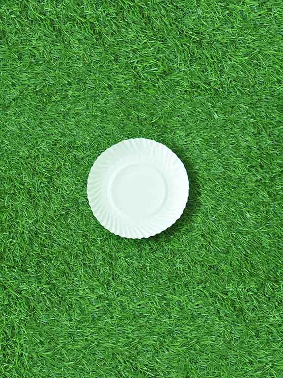 8-inch-plate 8 Inch Round Plate (25 Pack)